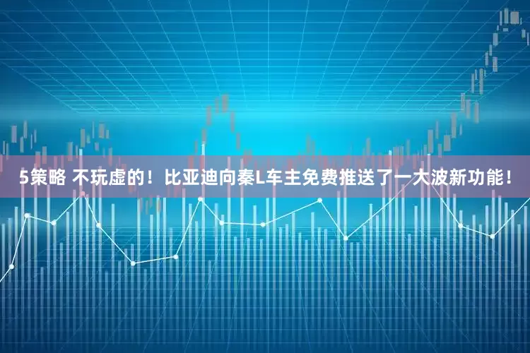 5策略 不玩虚的！比亚迪向秦L车主免费推送了一大波新功能！