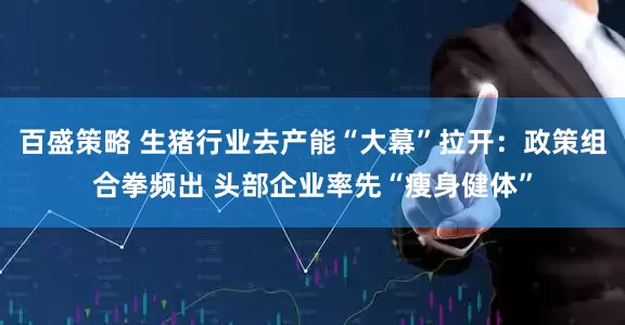 百盛策略 生猪行业去产能“大幕”拉开：政策组合拳频出 头部企业率先“瘦身健体”
