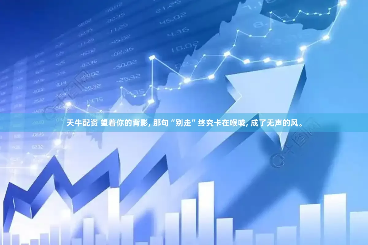 天牛配资 望着你的背影, 那句“别走”终究卡在喉咙, 成了无声的风。