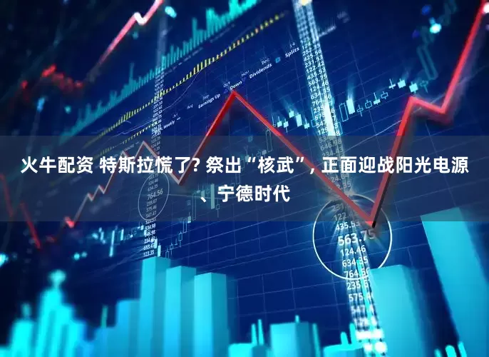 火牛配资 特斯拉慌了? 祭出“核武”, 正面迎战阳光电源、宁德时代