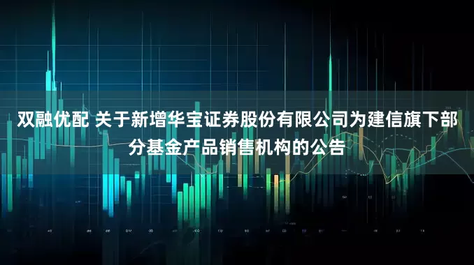 双融优配 关于新增华宝证券股份有限公司为建信旗下部分基金产品销售机构的公告