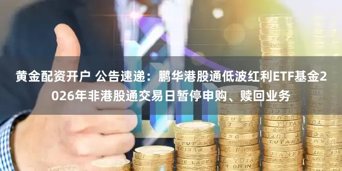 黄金配资开户 公告速递：鹏华港股通低波红利ETF基金2026年非港股通交易日暂停申购、赎回业务